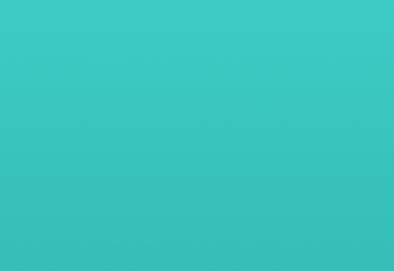 portfolio placeholder portfolio placeholder